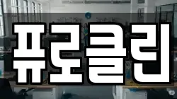 퓨로클린