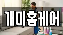 개미홈케어