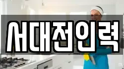 서대전인력