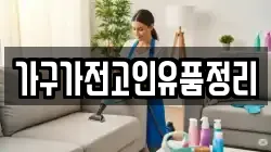가구가전고인유품정리
