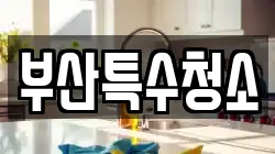 부산특수청소