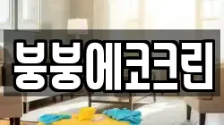 붕붕에코크린