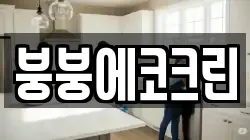 붕붕에코크린