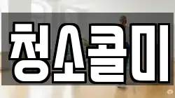 청소콜미