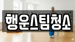 행운스팀청소