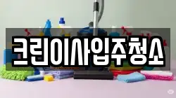 크린이사입주청소