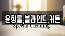 윤창롤,블라인드,커튼