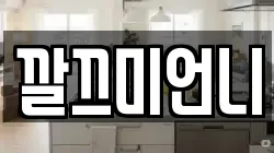깔끄미언니