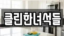클린한녀석들