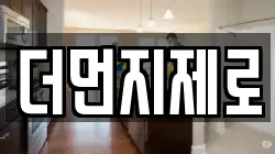 더먼지제로
