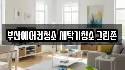 부산에어컨청소 세탁기청소 그린존