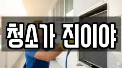 청소가 진이야