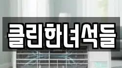 클린한녀석들