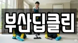부산딥클린