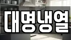 대명냉열