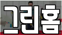 그린홈