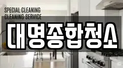 대명종합청소