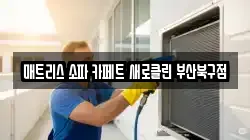 매트리스 소파 카페트 새로클린 부산북구점