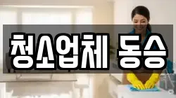 청소업체 동승