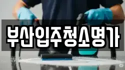 부산입주청소명가