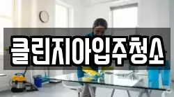 클린지아입주청소