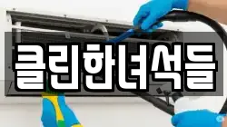 클린한녀석들