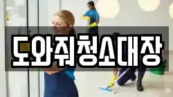 도와줘청소대장