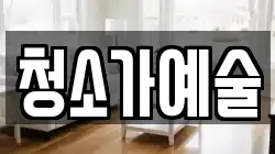 청소가예술