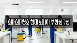 소파쇼파청소 침대토피아 부산진구점