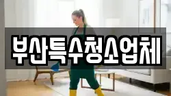 부산특수청소업체