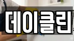 데이클린