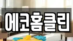 에코홈클린