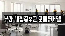 부산 새집증후군 포름퓨어쉘