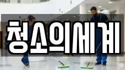 청소의세계