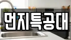 먼지특공대