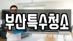 부산특수청소