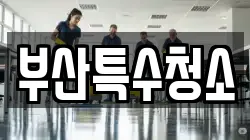 부산특수청소