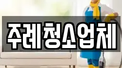주례청소업체