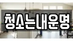 청소는내운명