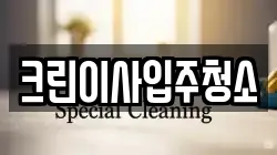 크린이사입주청소