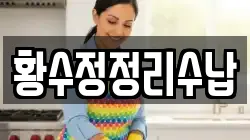 황수정정리수납
