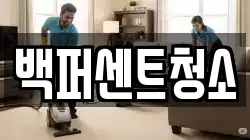 백퍼센트청소