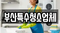 부산특수청소업체