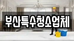 부산광역시 사하구 신평동 청소,입주청소,사무실청소,에어컨청소,특수청소,상가청소,거주청소,유품정리