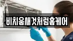 비치움새것처럼홈케어