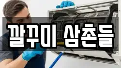 깔꾸미 삼촌들