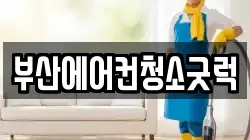 부산광역시 서구 서대신동3가 청소,입주청소,사무실청소,에어컨청소,특수청소,상가청소,거주청소,유품정리