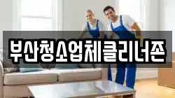 부산청소업체클리너존