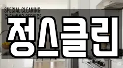 정스클린