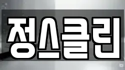 정스클린